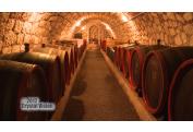 TOKAJSKE PIVNICE (5)
